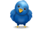 Twitter bird