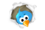 Peeking Twitter bird