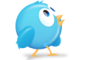 Round Twitter bird profile shot