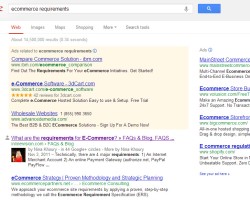 Ecommerce Requirements  Google Search Nina Khoury verified author