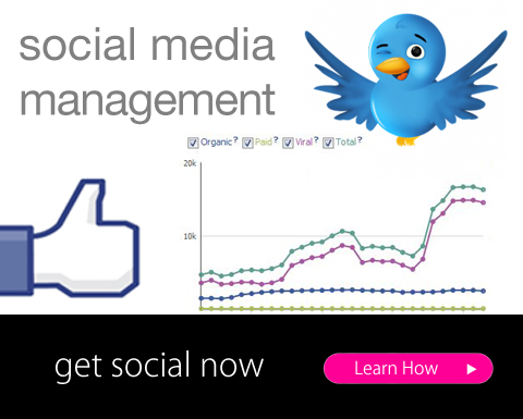 inlineVision Social Media Management