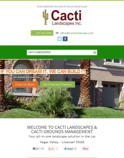 Cacti Landscapes iPad/Tablet View Cacti Landscapes iPad/Tablet View