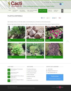 Cacti Plants & Materials Cacti Plants & Materials