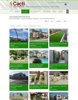 Cacti Projects Cacti Projects