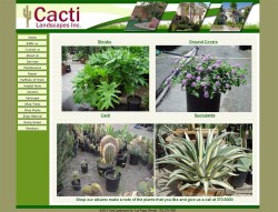 Cacti Plants Before