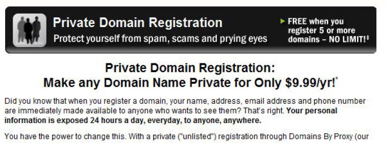 Private Domain Registration: What do you have to hide?