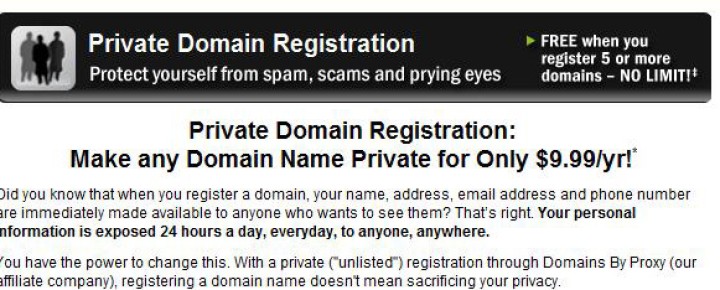Private Domain Registration: What do you have to hide?