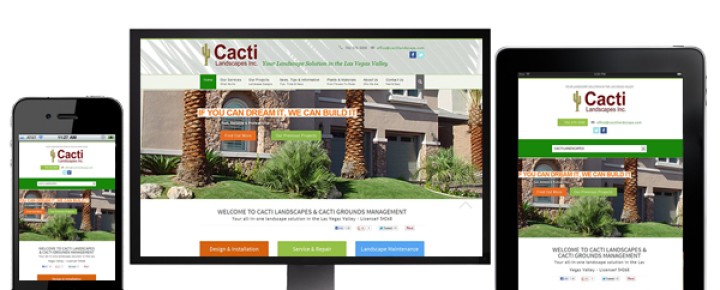 Cacti Landscapes Inc