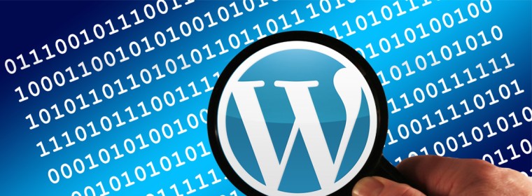 Working With WordPress: What’s In Your Theme?