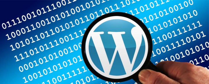 Working With WordPress: What’s In Your Theme?