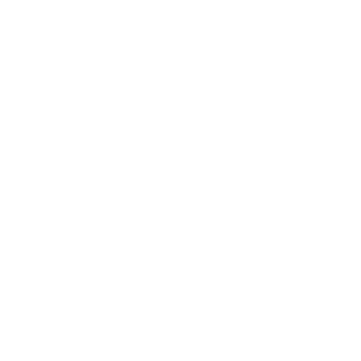 wordpress development